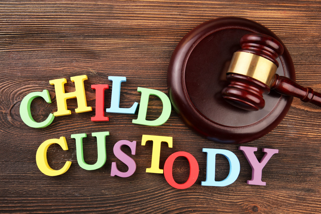 Custody help 2024